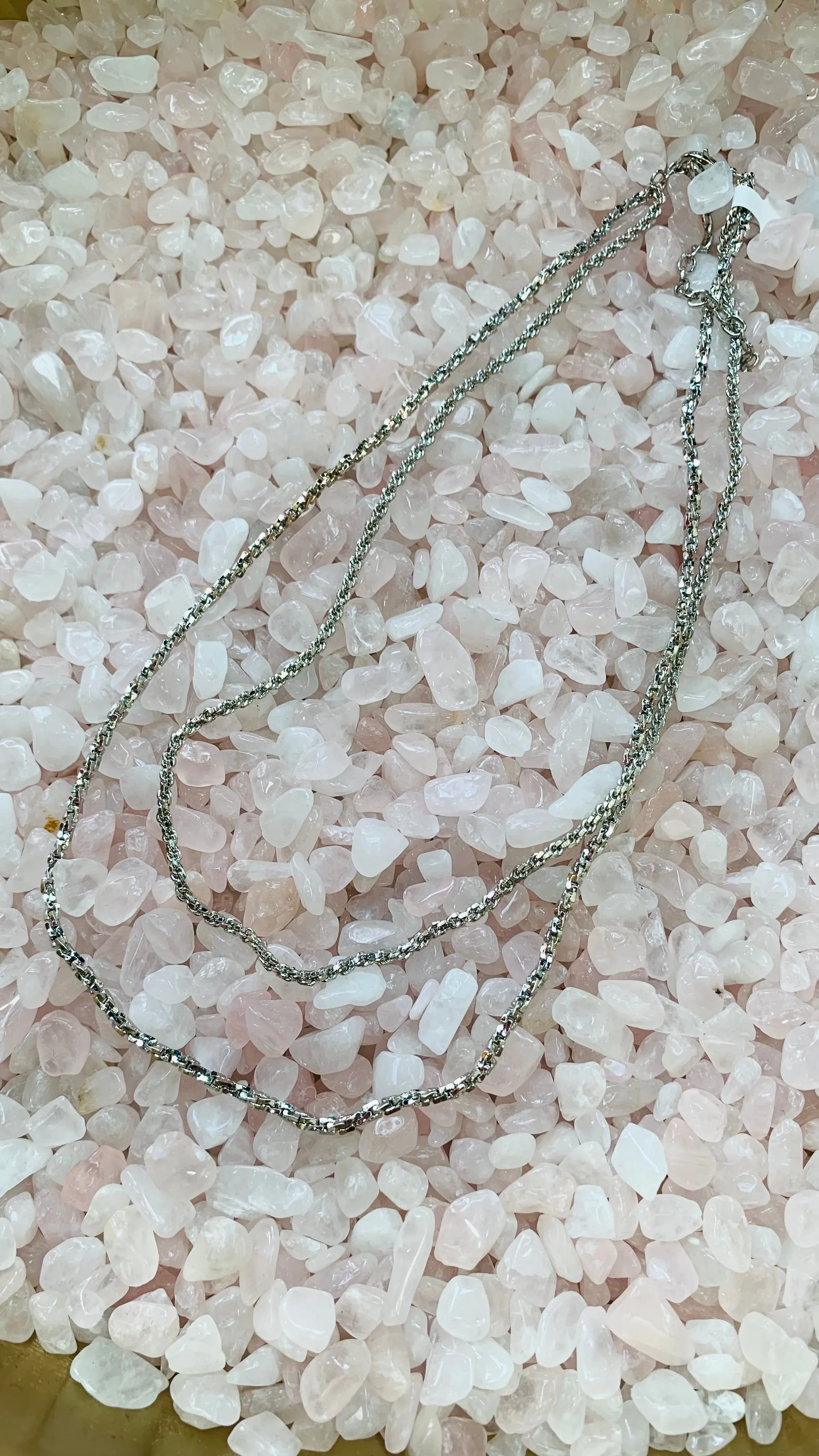 Dianna Double Layered Silver Necklace