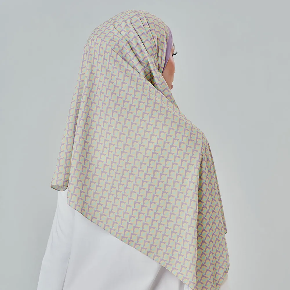 Echo 2.0 in Heather
