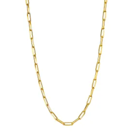 Enduring Energy 14kt Gold Chain Necklace