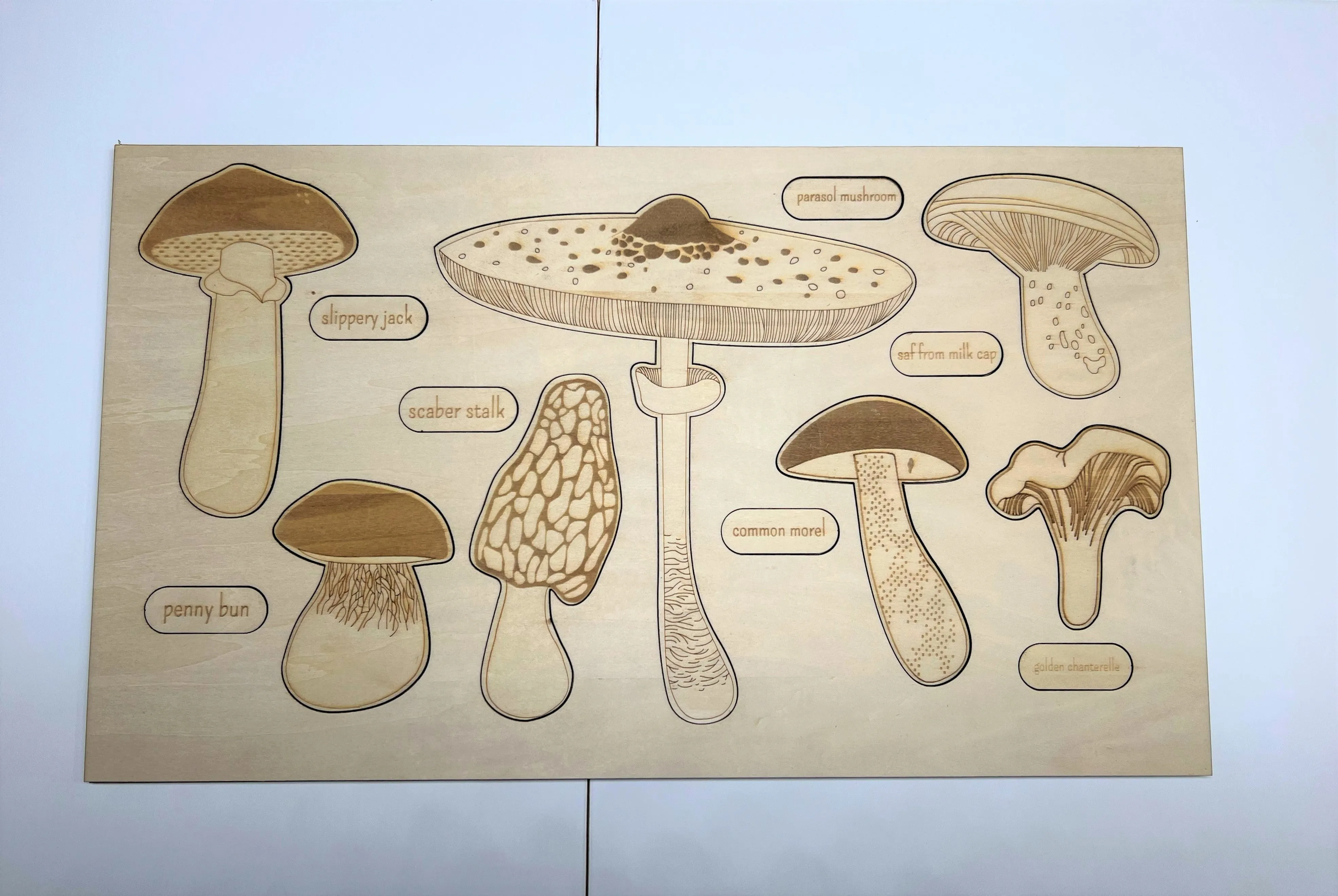 **Pre-order (Ships in 3-4 Weeks)**Educational Multi-layered Wooden Puzzle